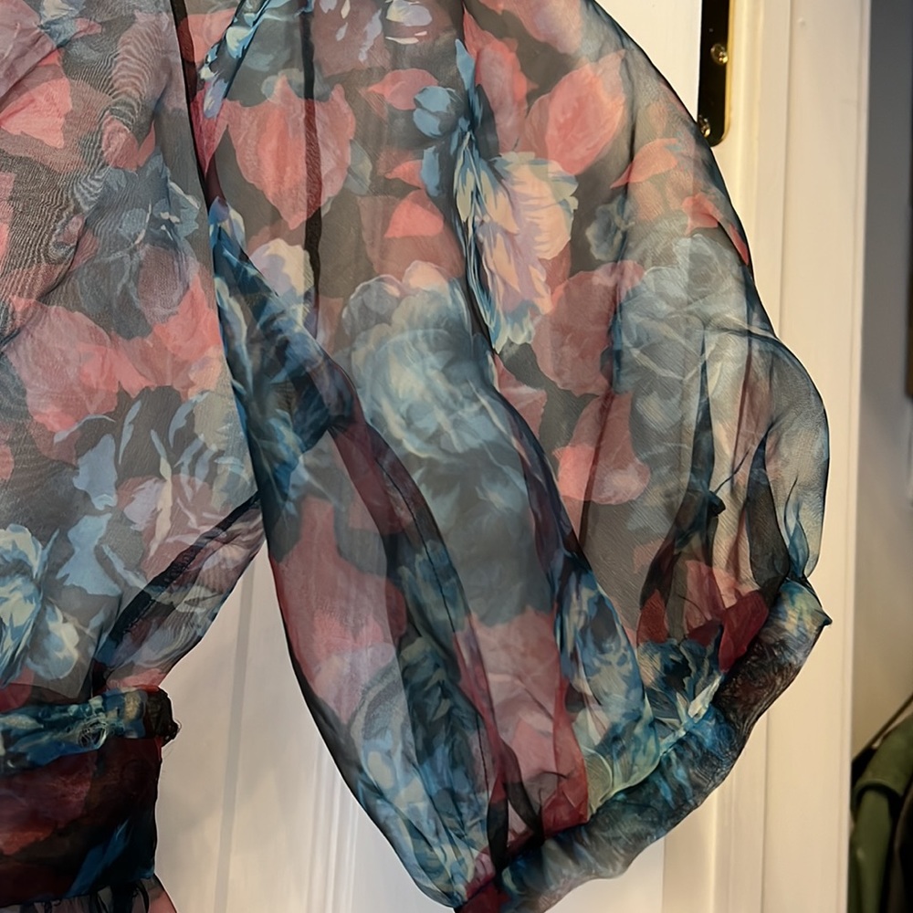 ZARA FLIRAL SHEER DRESS W/BELT - Picture 6 of 10